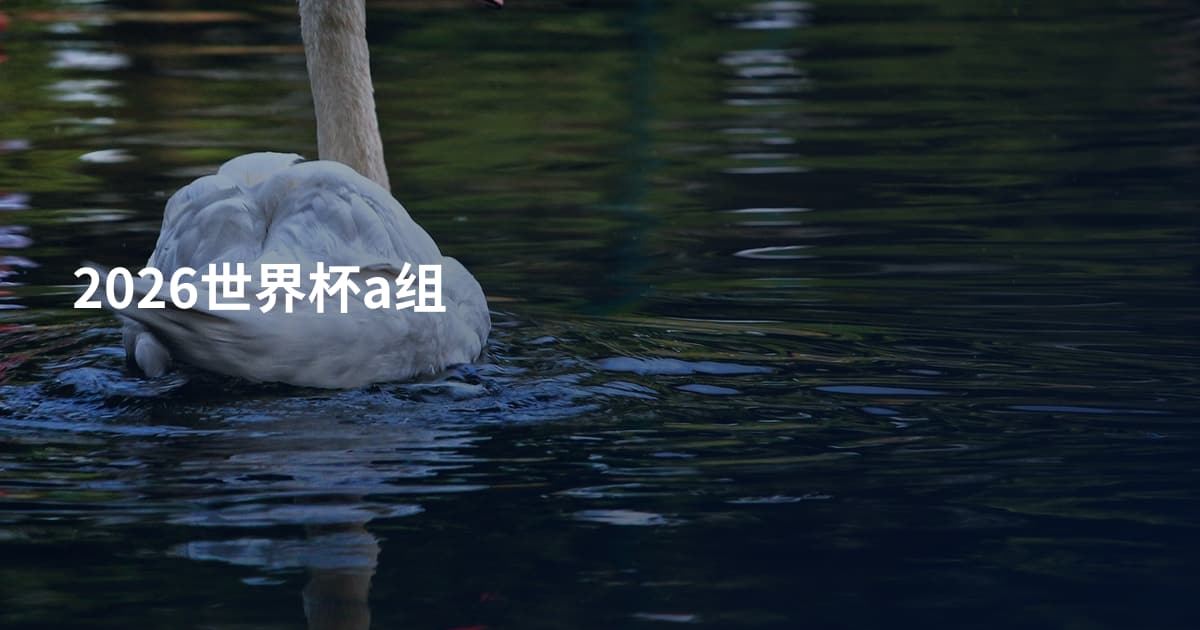 2026世界杯a组