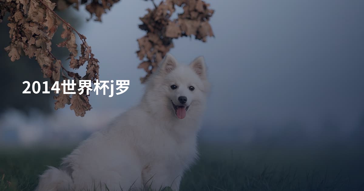 2014世界杯j罗