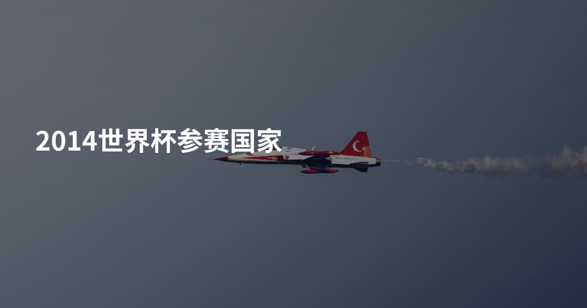 2014世界杯参赛国家