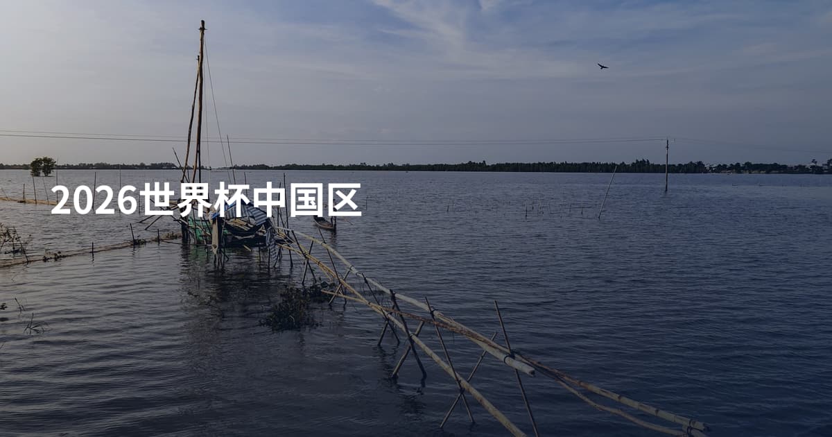 2026世界杯中国区