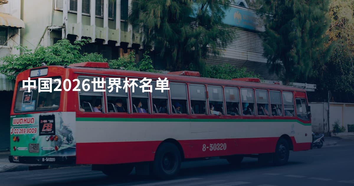 中国2026世界杯名单