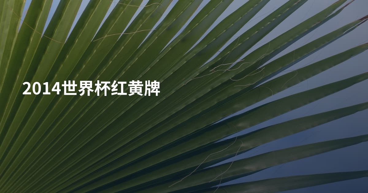 2014世界杯红黄牌