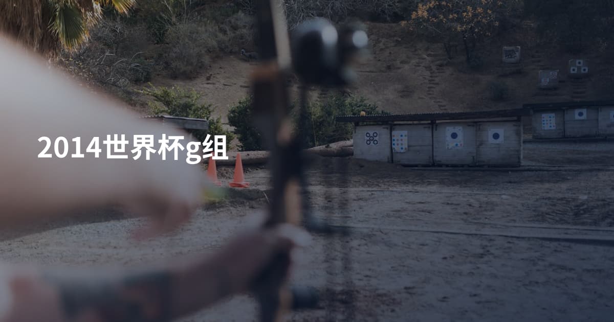 2014世界杯g组