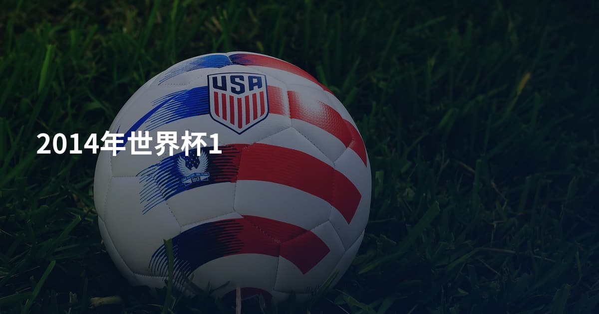 2014年世界杯1