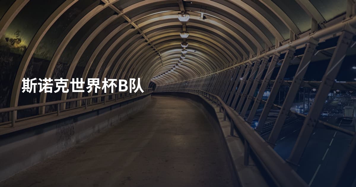 斯诺克世界杯B队