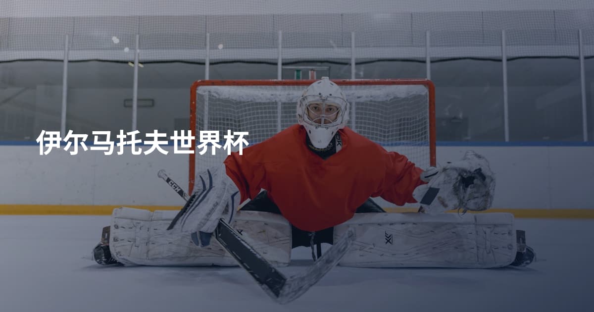 伊尔马托夫世界杯