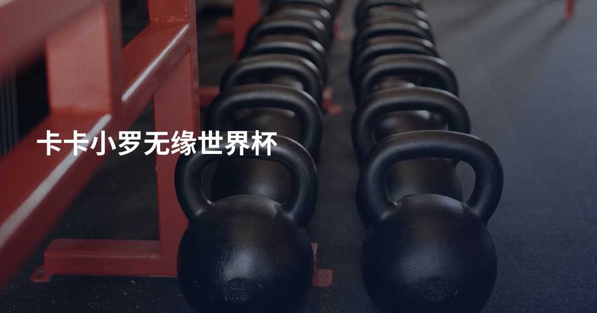 卡卡小罗无缘世界杯