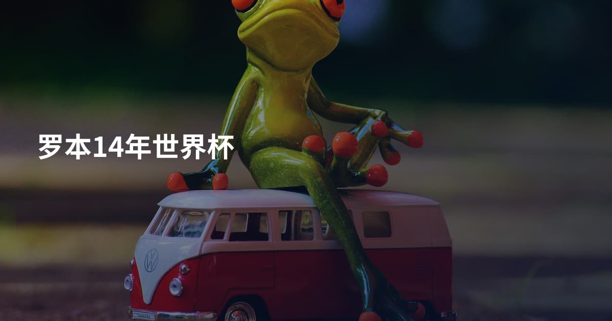 罗本14年世界杯