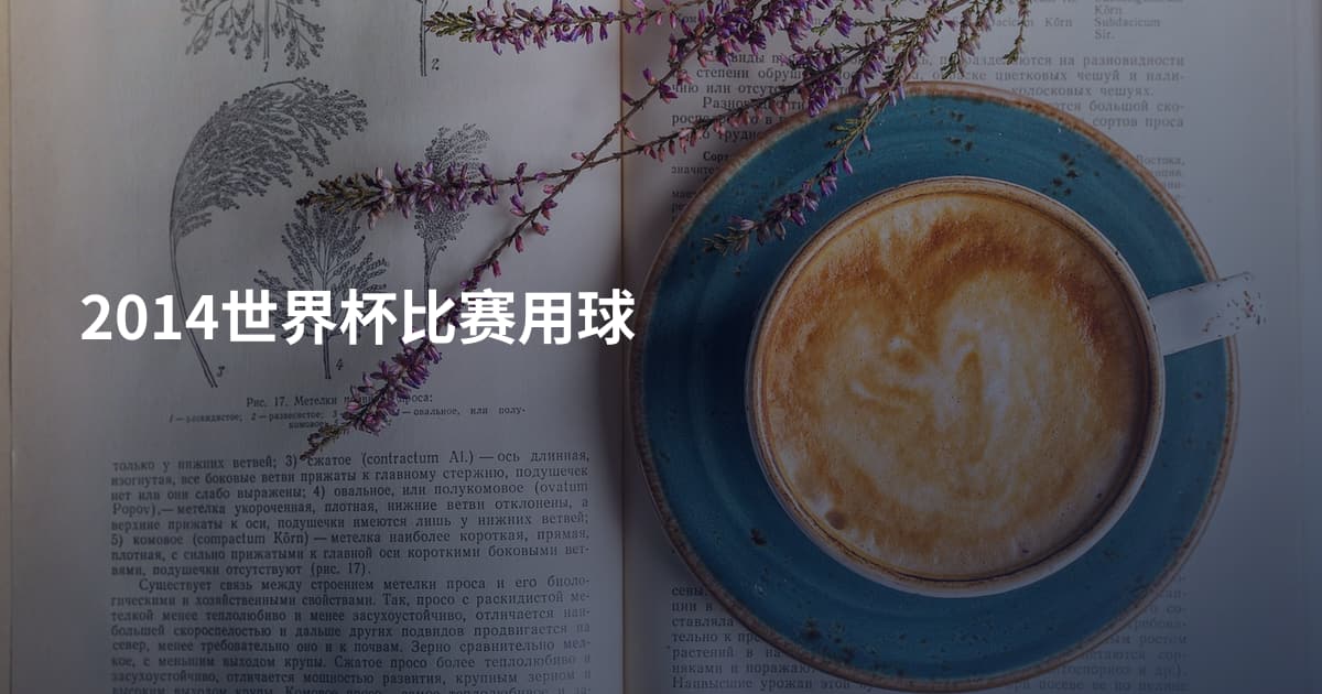 2014世界杯比赛用球