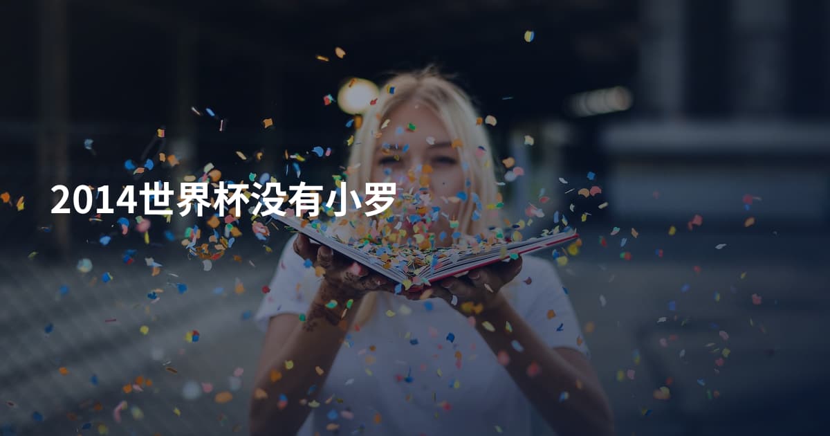 2014世界杯没有小罗