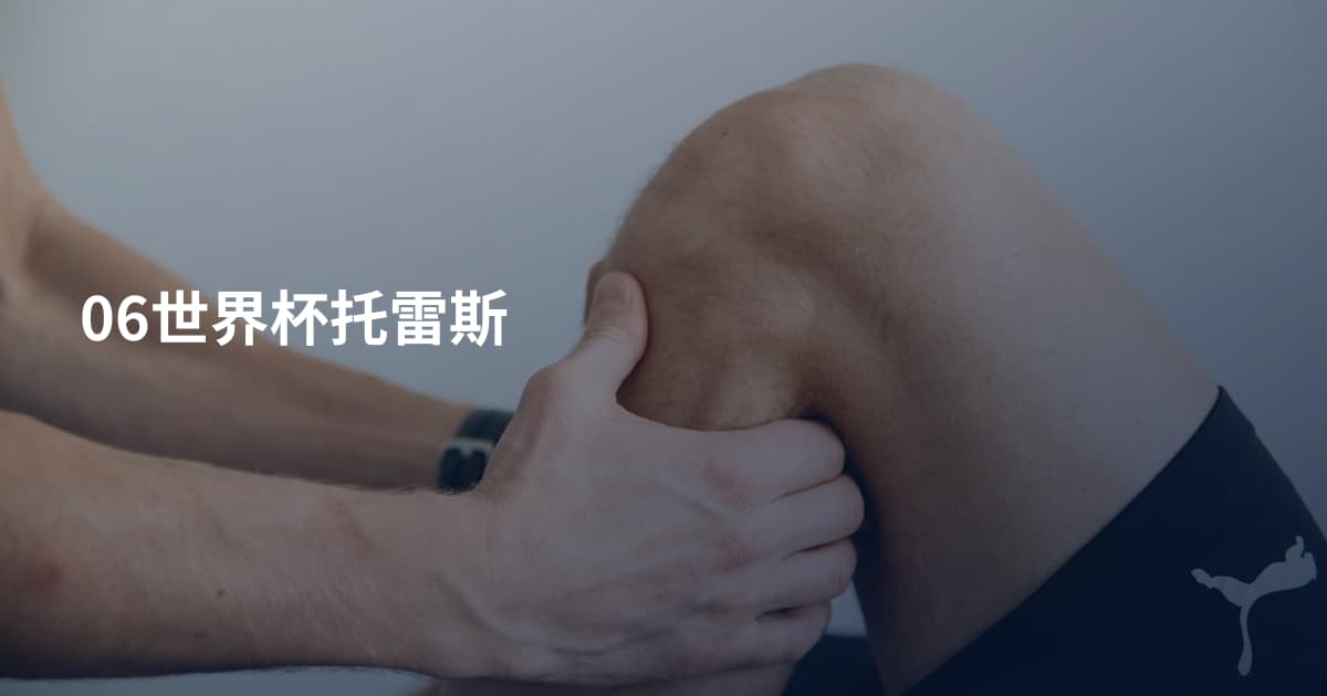 06世界杯托雷斯