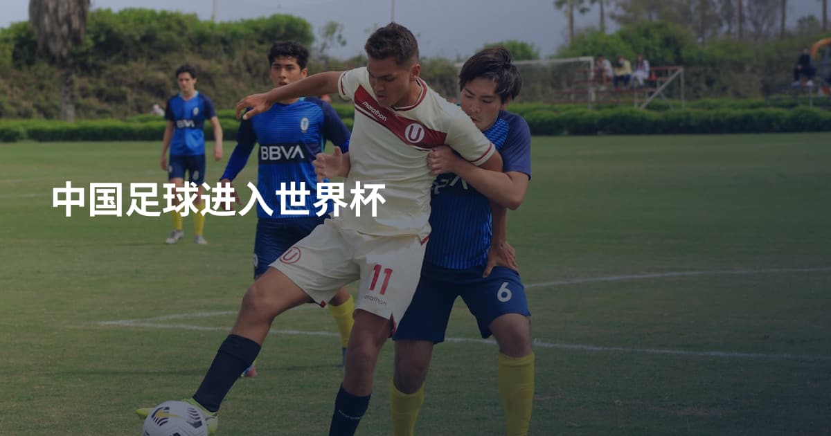 中国足球进入世界杯