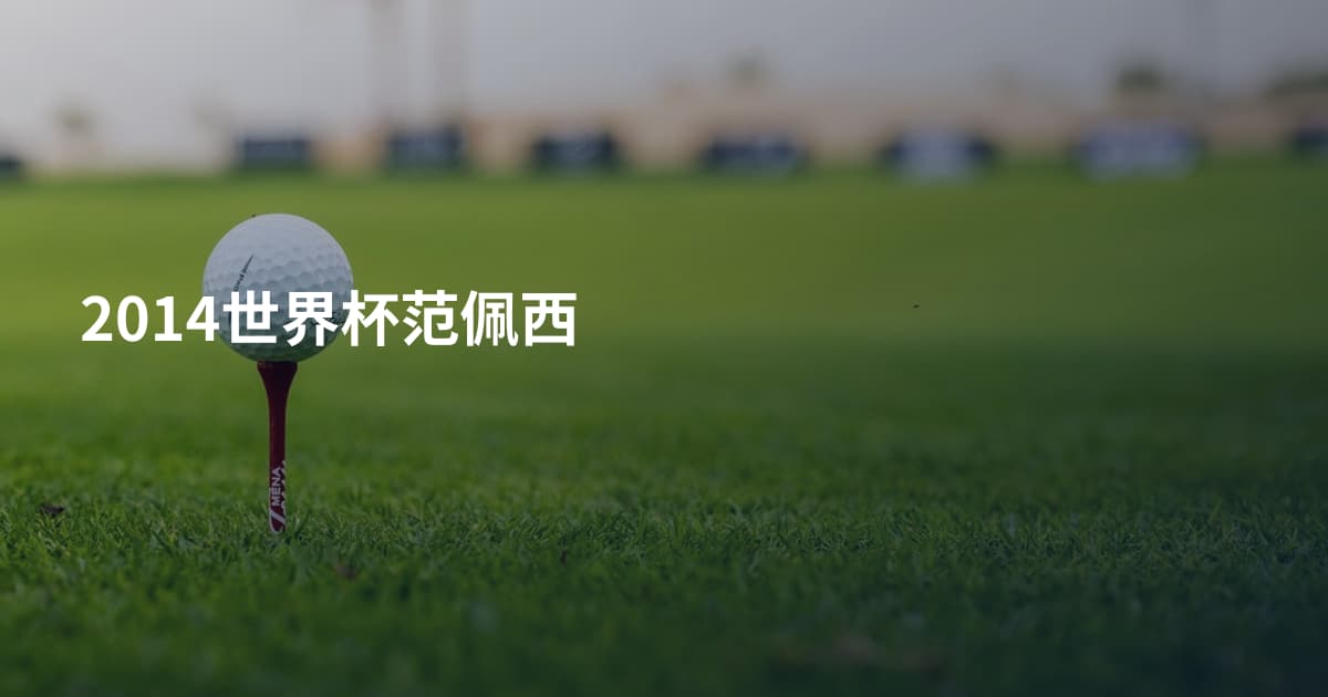 2014世界杯范佩西
