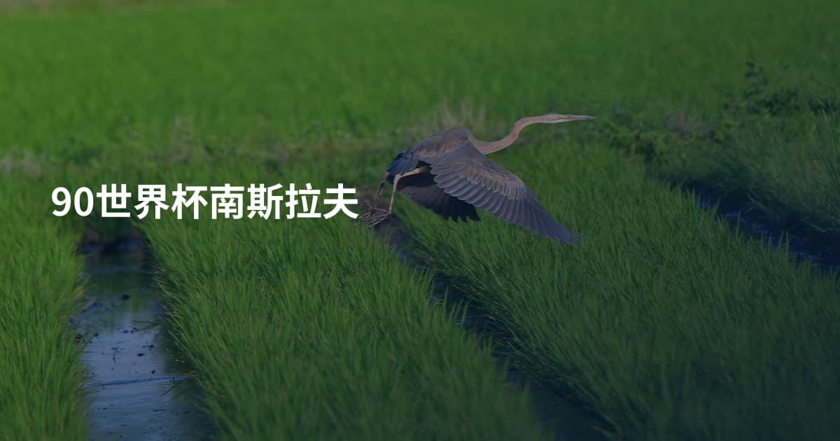 90世界杯南斯拉夫