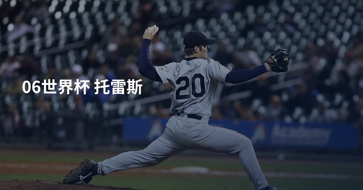 06世界杯 托雷斯