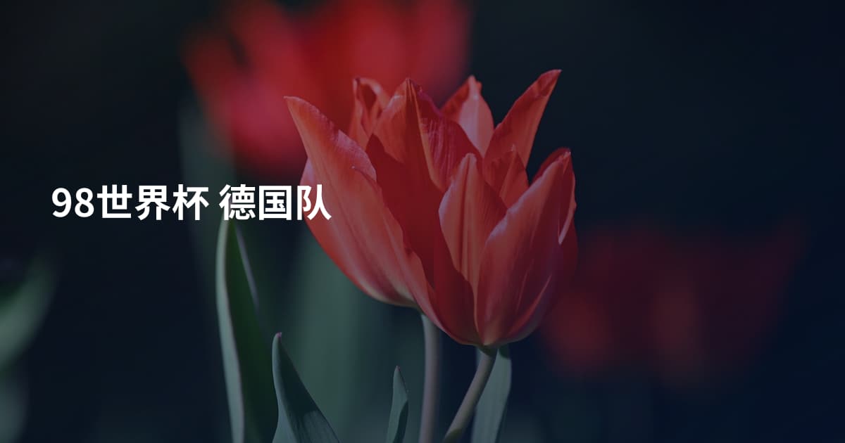 98世界杯 德国队