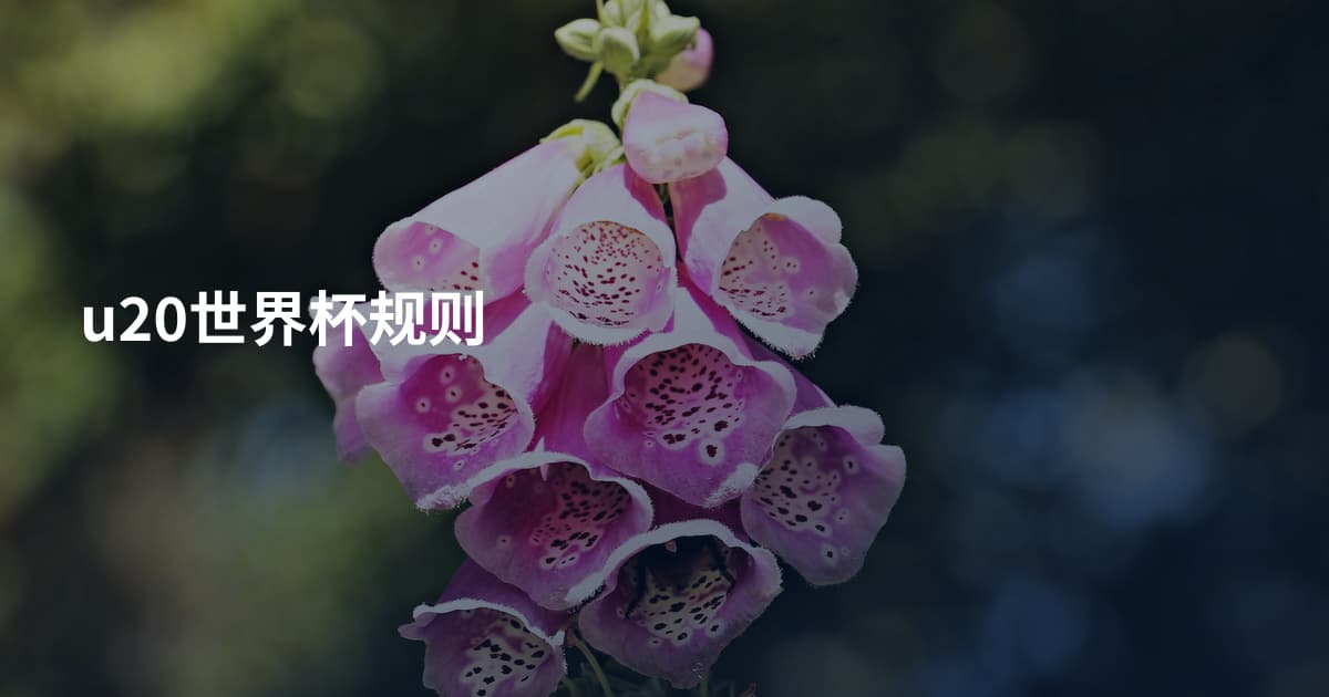 u20世界杯规则