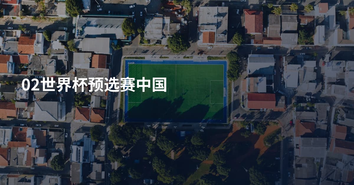 02世界杯预选赛中国