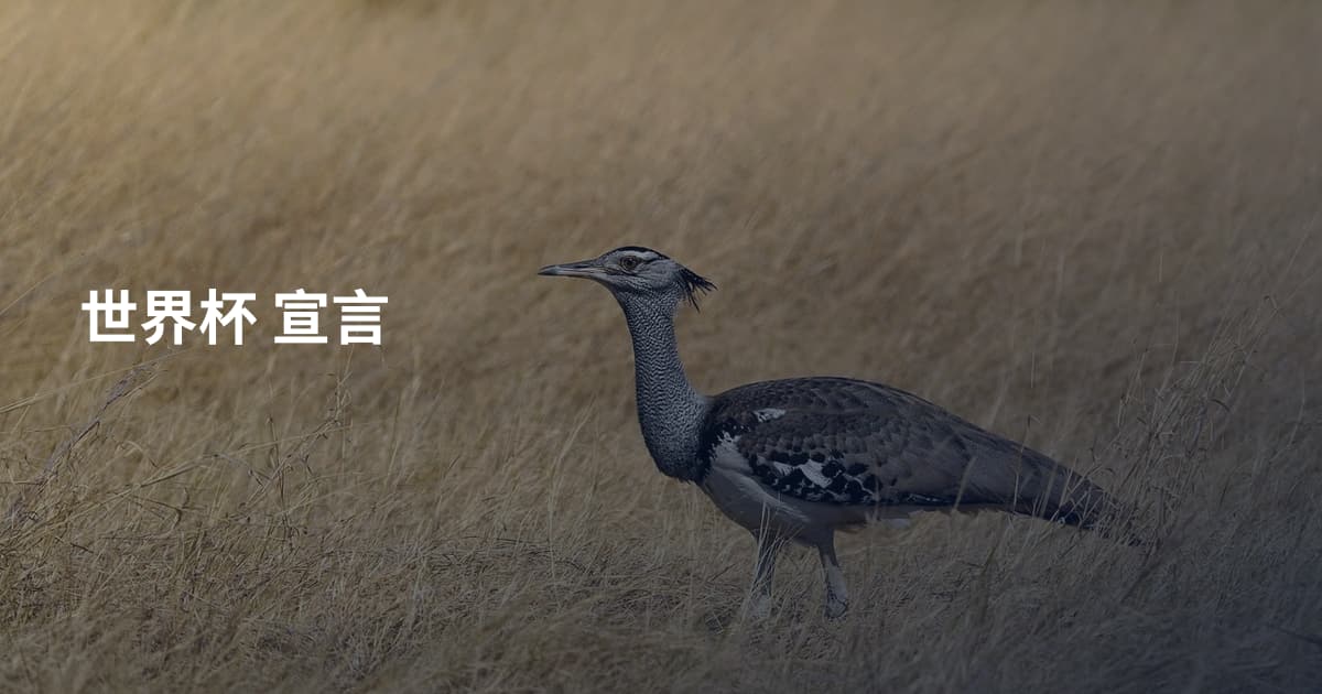 世界杯 宣言
