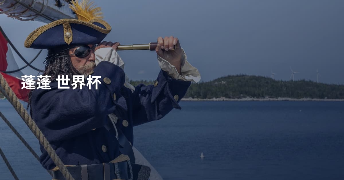 蓬蓬 世界杯