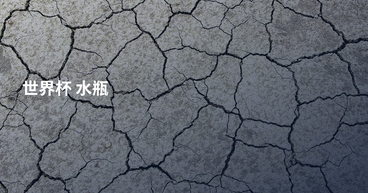 世界杯 水瓶