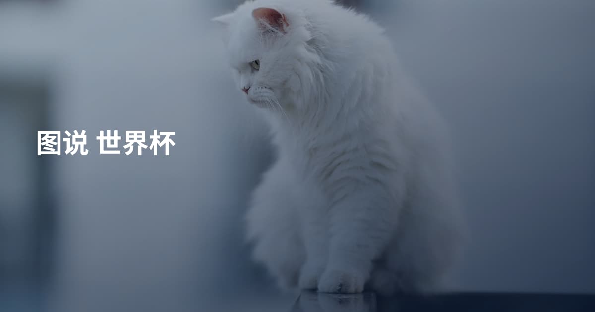 图说 世界杯