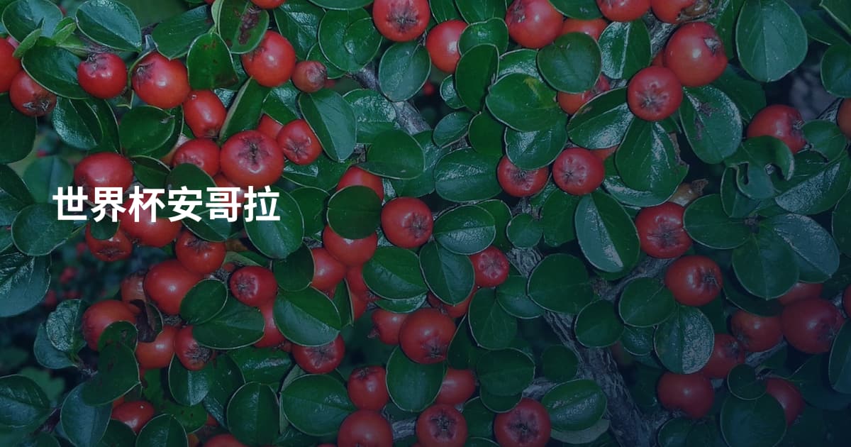 世界杯安哥拉
