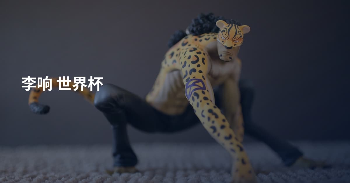 李响 世界杯