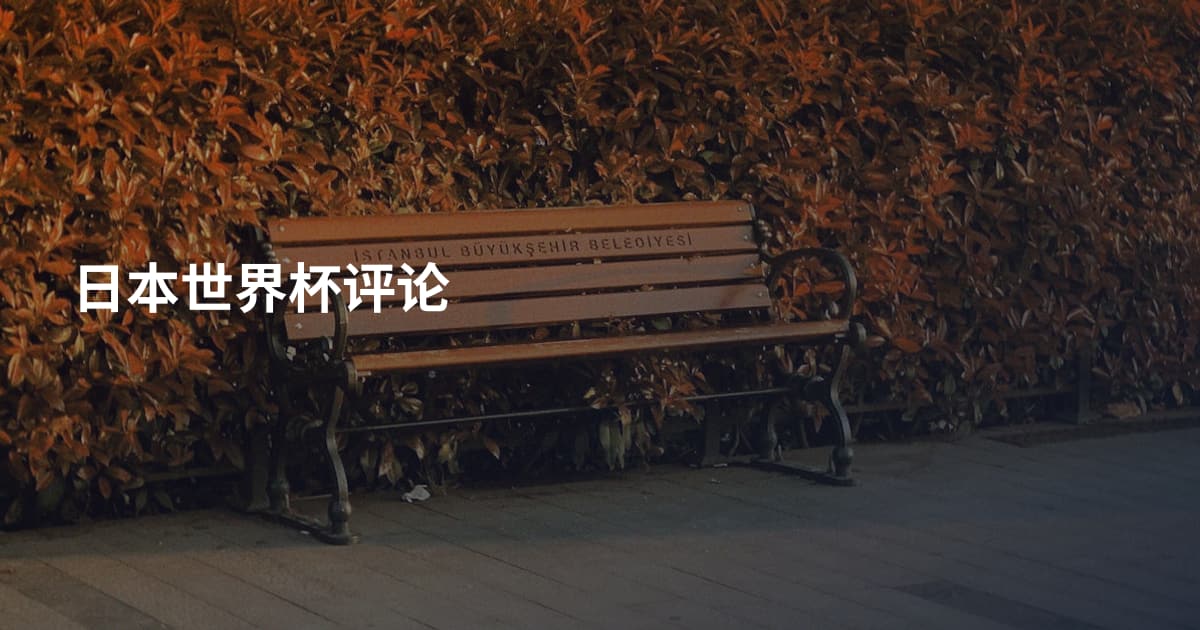 日本世界杯评论
