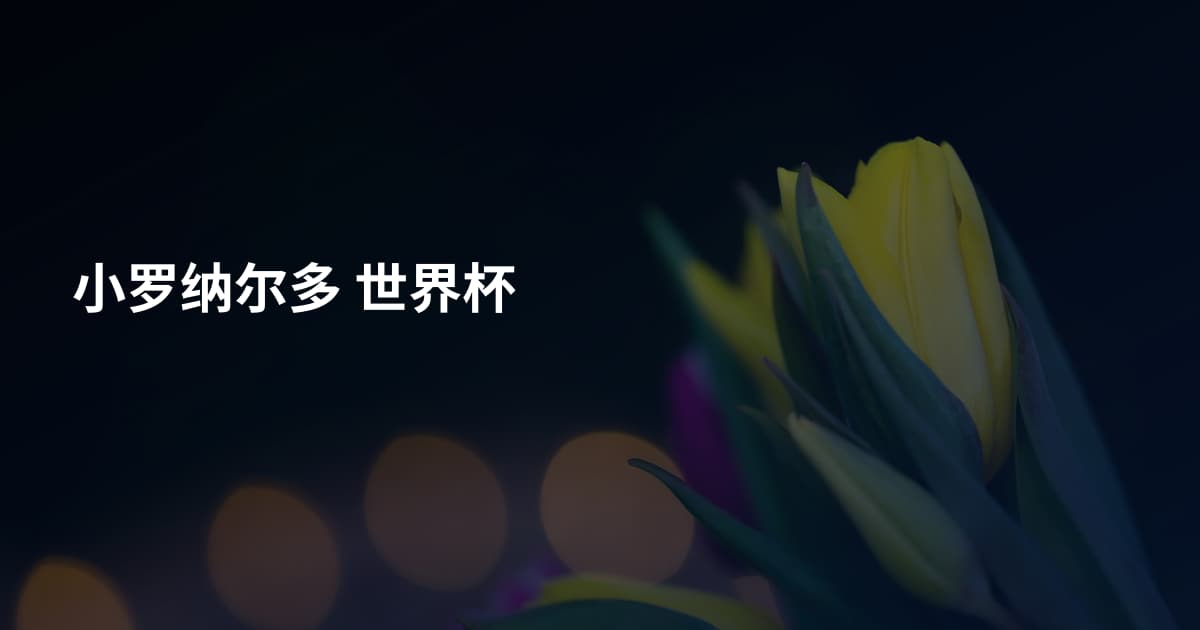 小罗纳尔多 世界杯
