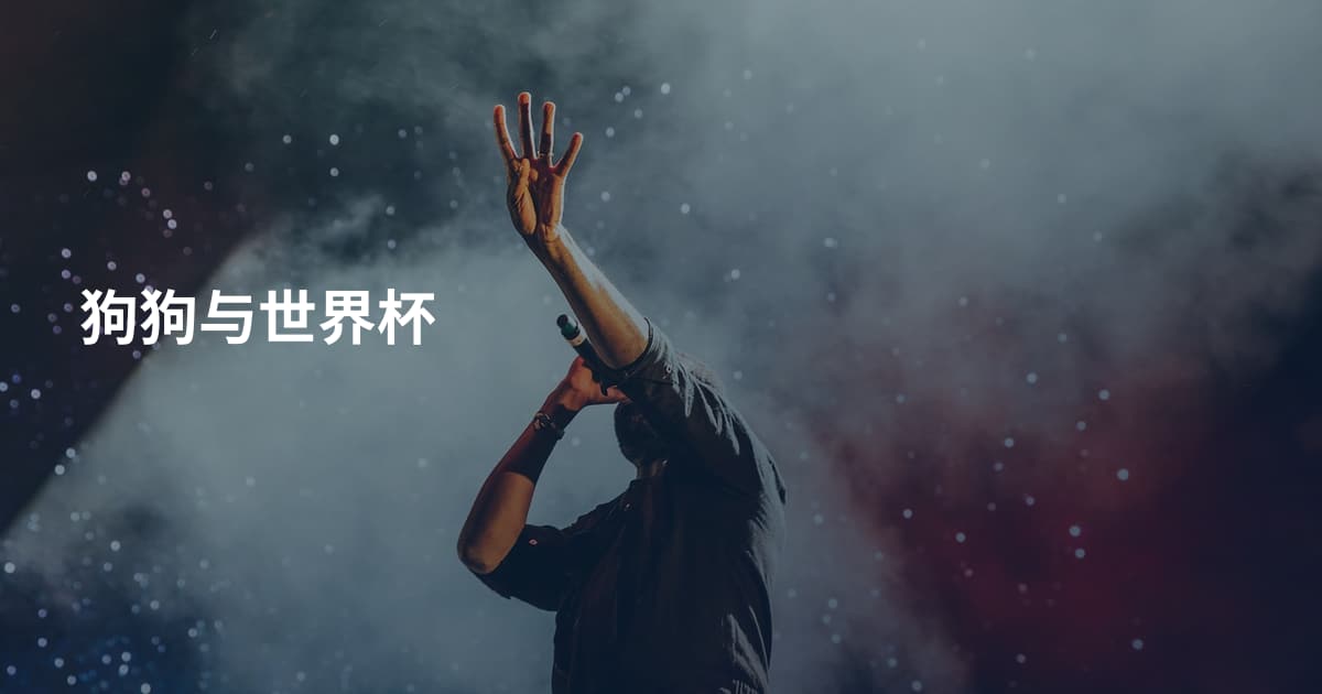 狗狗与世界杯