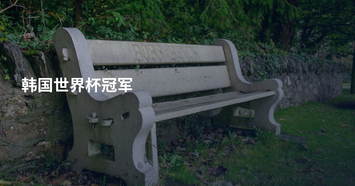 韩国世界杯冠军