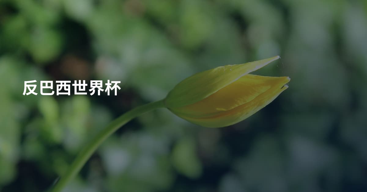 反巴西世界杯