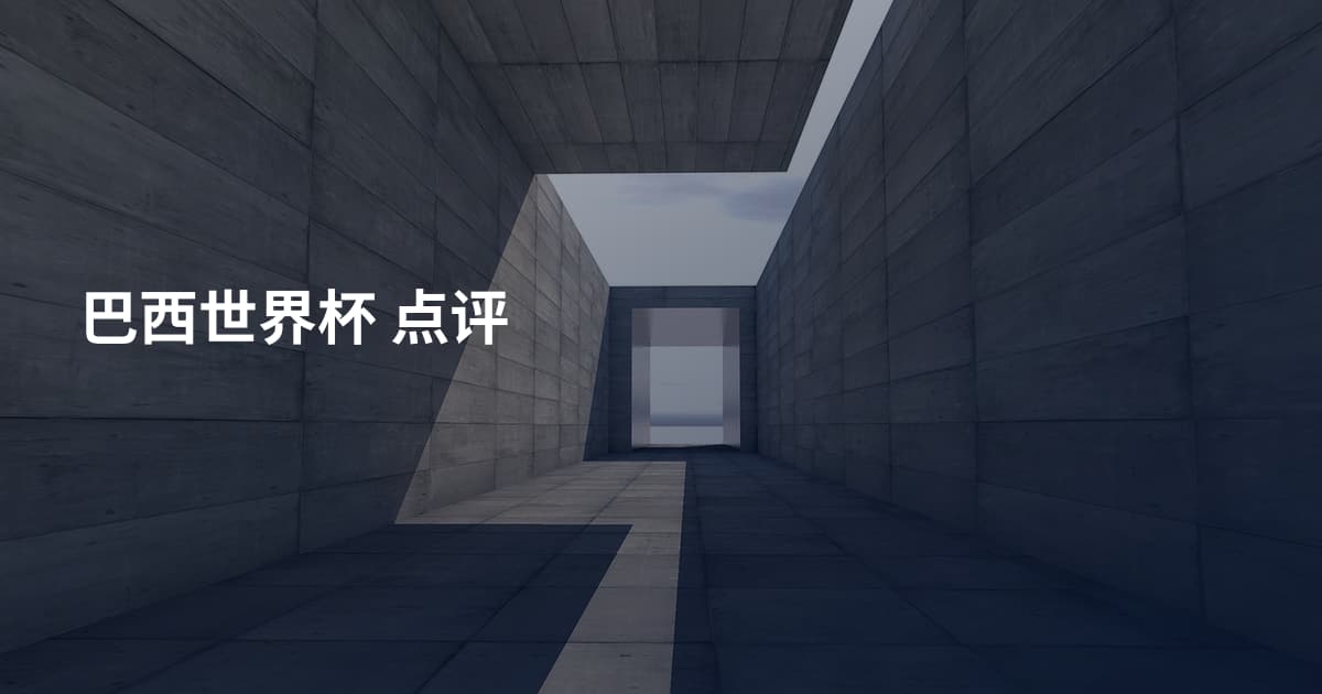 巴西世界杯 点评