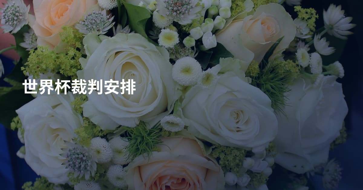 世界杯裁判安排