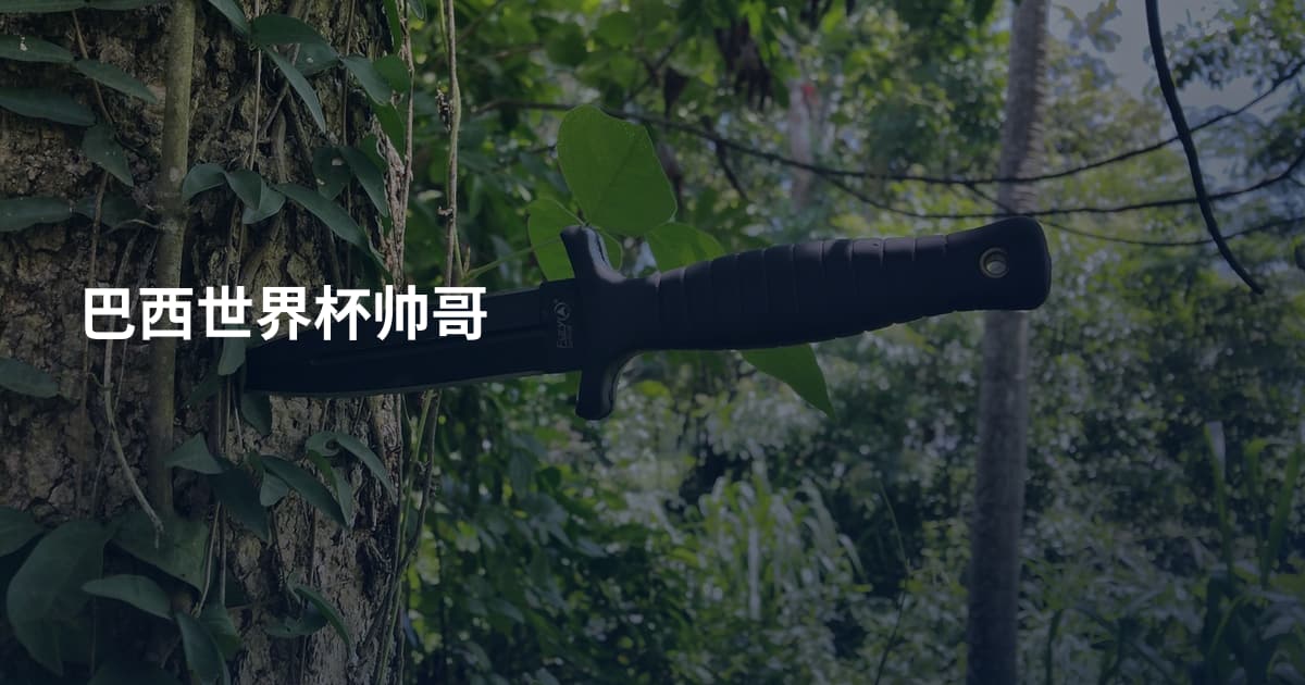 巴西世界杯帅哥