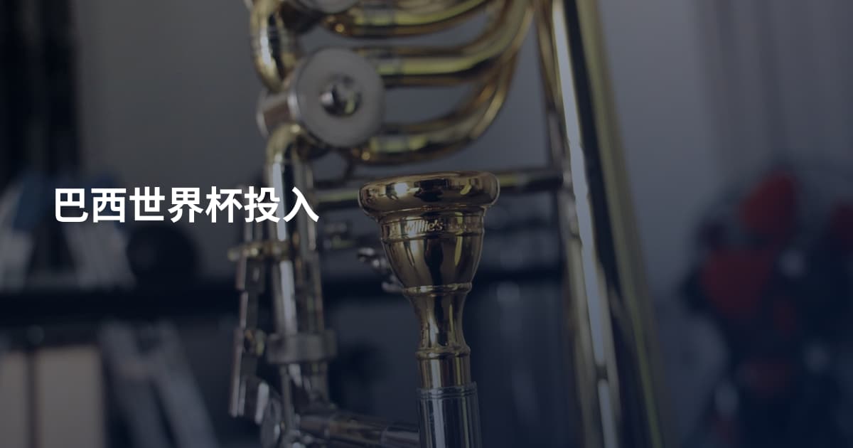 巴西世界杯投入