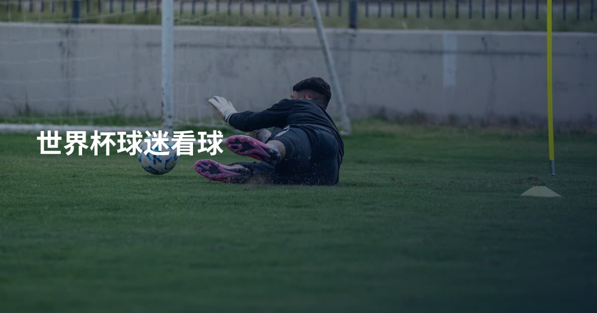世界杯球迷看球