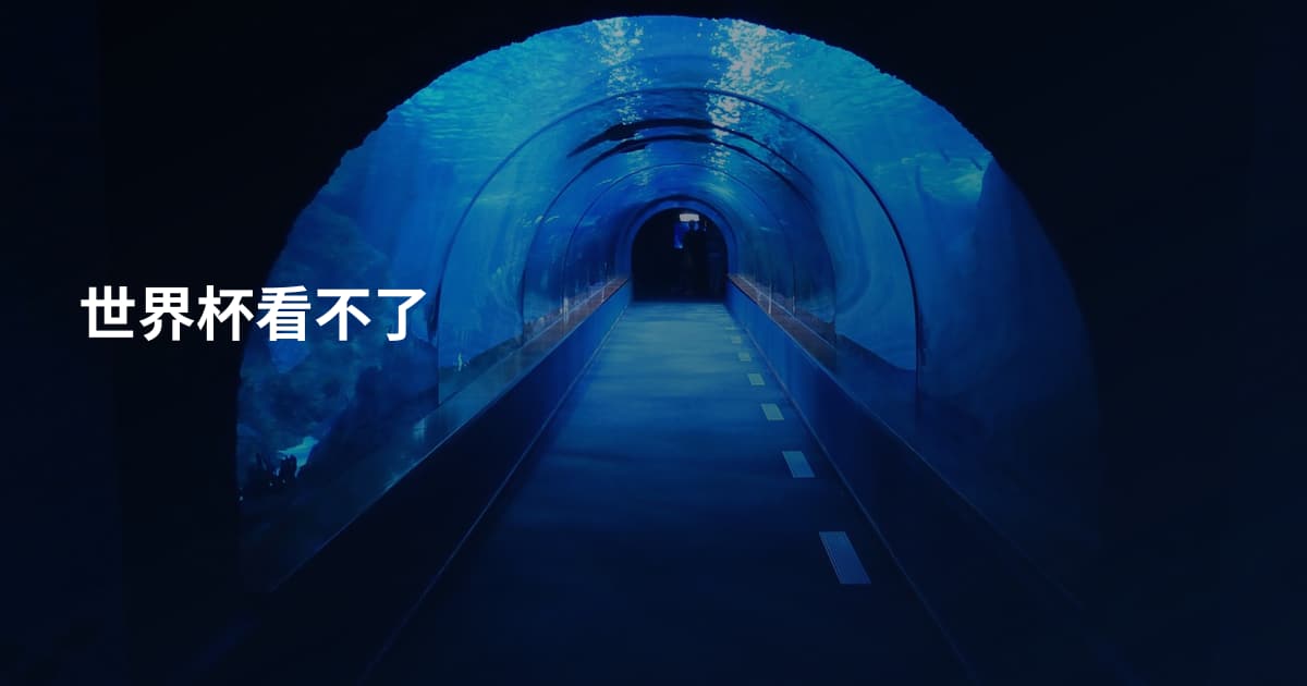 世界杯看不了