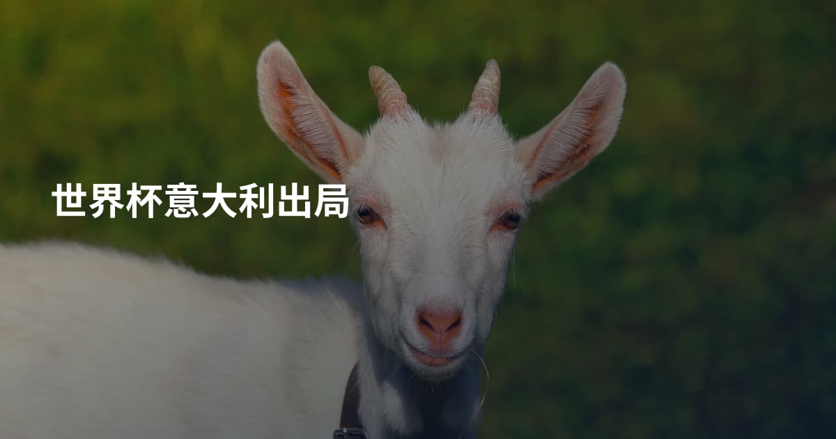 世界杯意大利出局