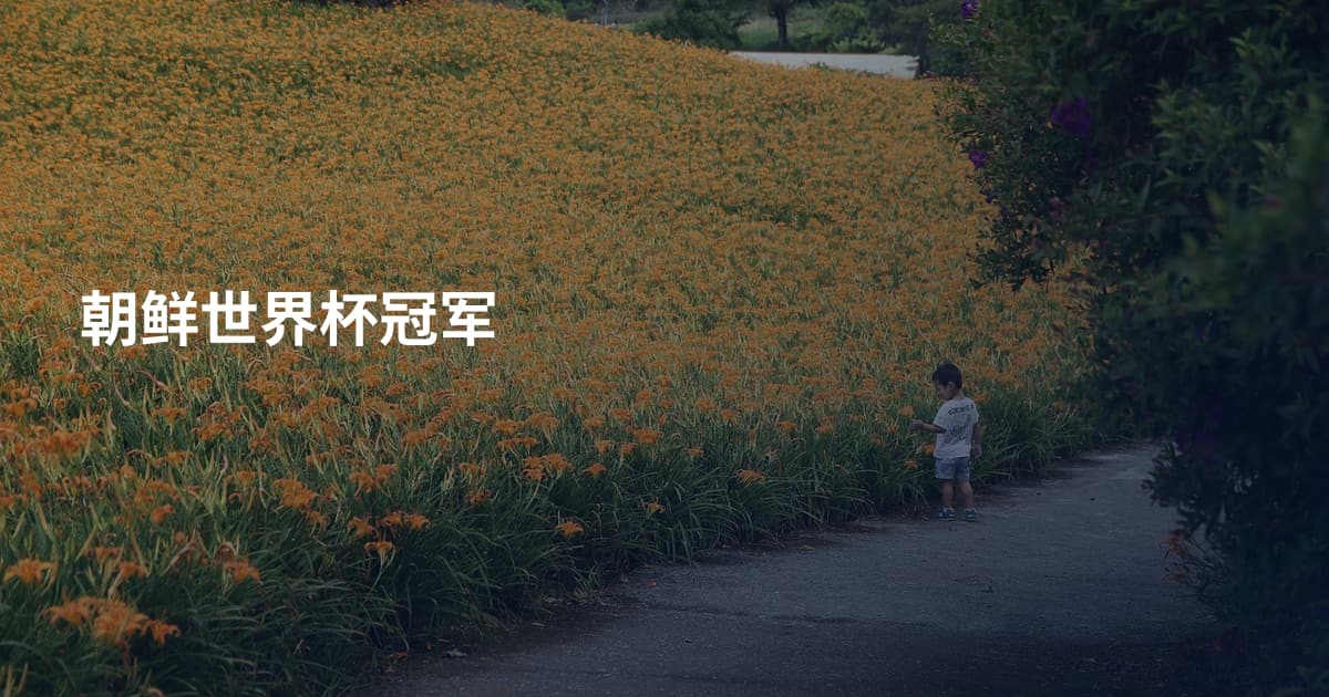 朝鲜世界杯冠军