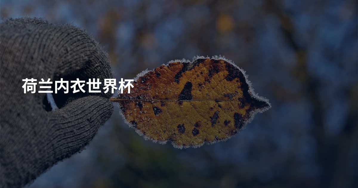 荷兰内衣世界杯