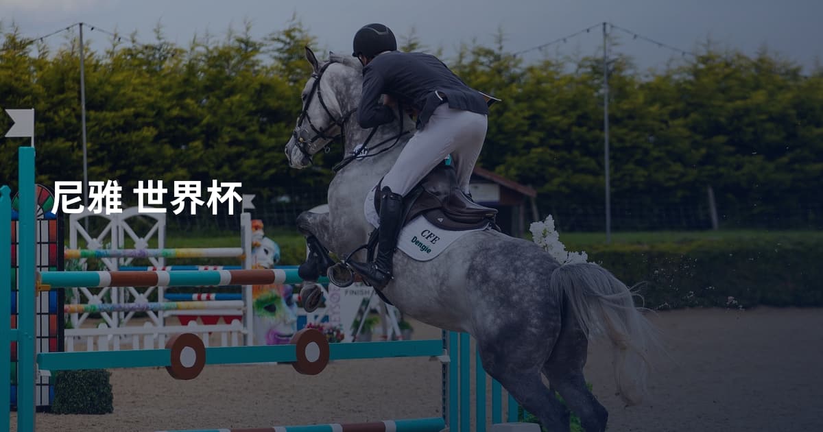 尼雅 世界杯