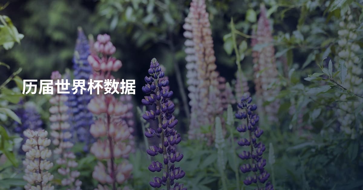 历届世界杯数据