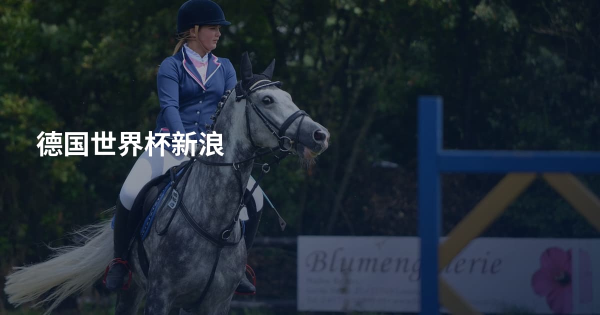 德国世界杯新浪
