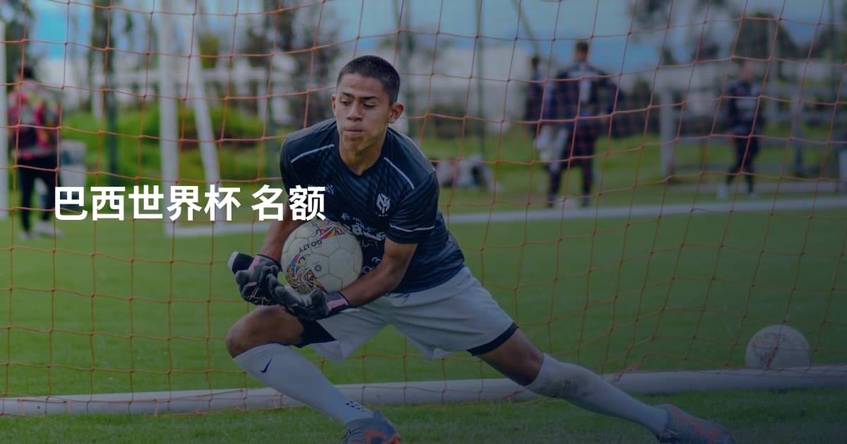 巴西世界杯 名额
