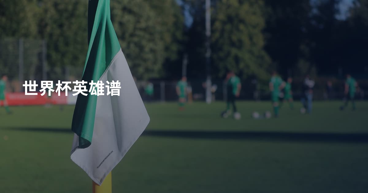 世界杯英雄谱