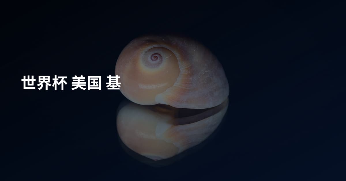 世界杯 美国 基