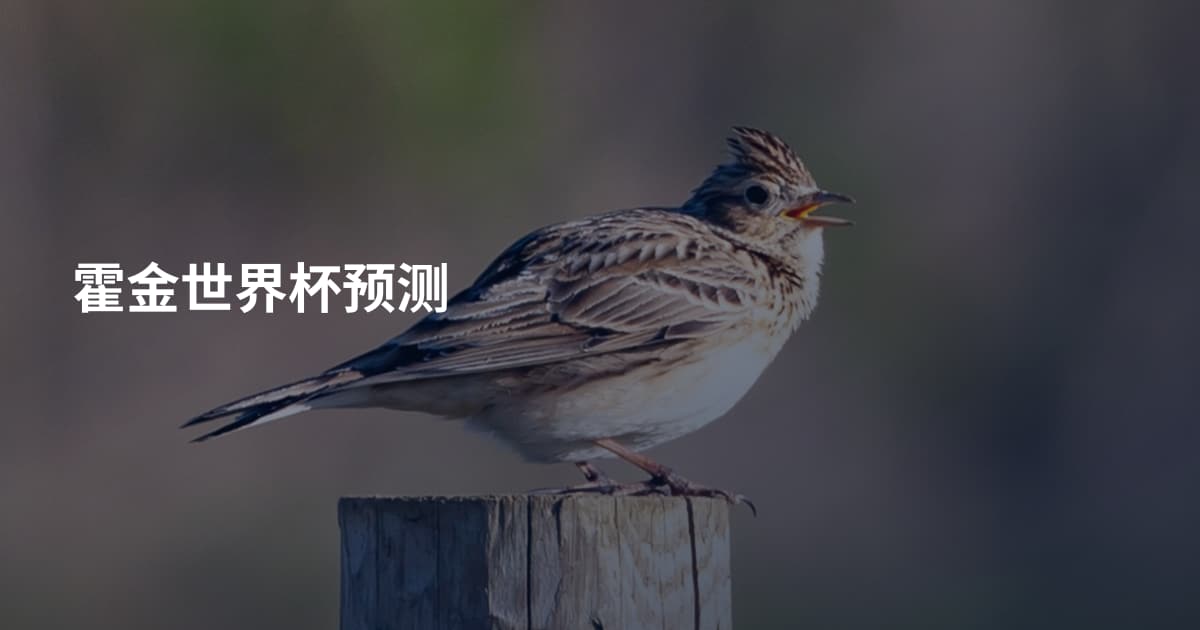 霍金世界杯预测