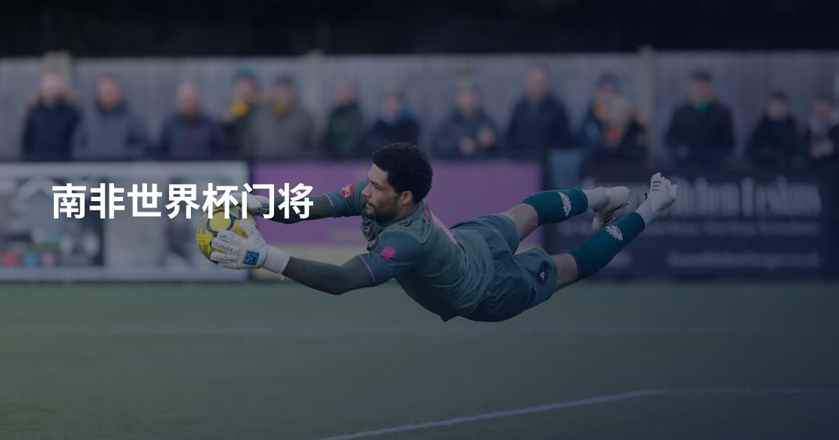 南非世界杯门将